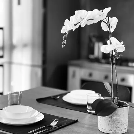 La Tana Del Ludo Apartament