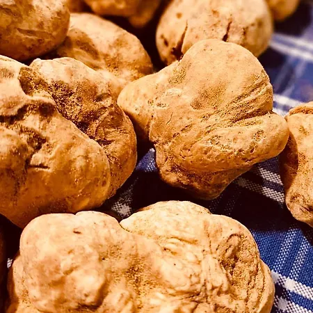 La Tana Del Ludo * Baveno