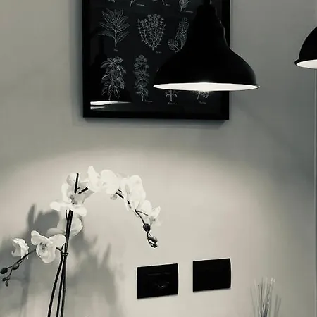 La Tana Del Ludo Apartment