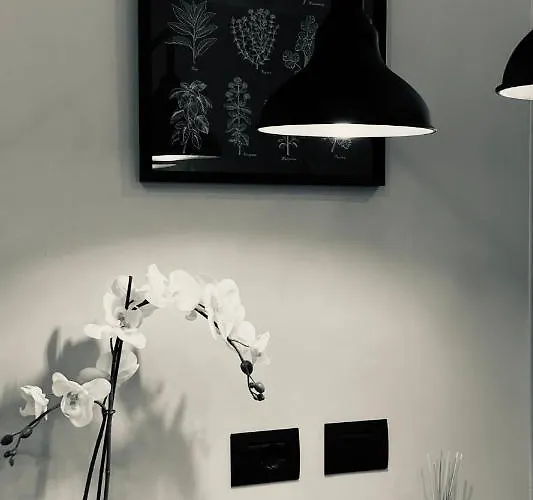 La Tana Del Ludo アパート